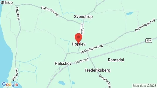 Boligudlejningsejendomme til salg i Højslev - kort over placeringen