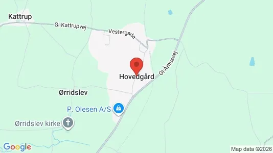 Butikslokaler til leje i Hovedgård - Foto fra Google Street View